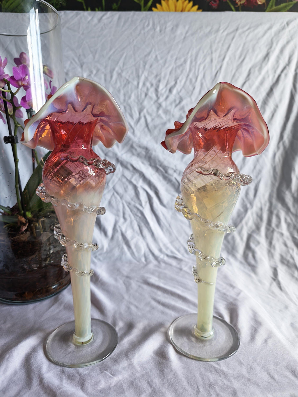 Antique Pair of Uranium Glass Jack in the Pulpit Vases | Victorian Cranberry Opalescent Art Glass