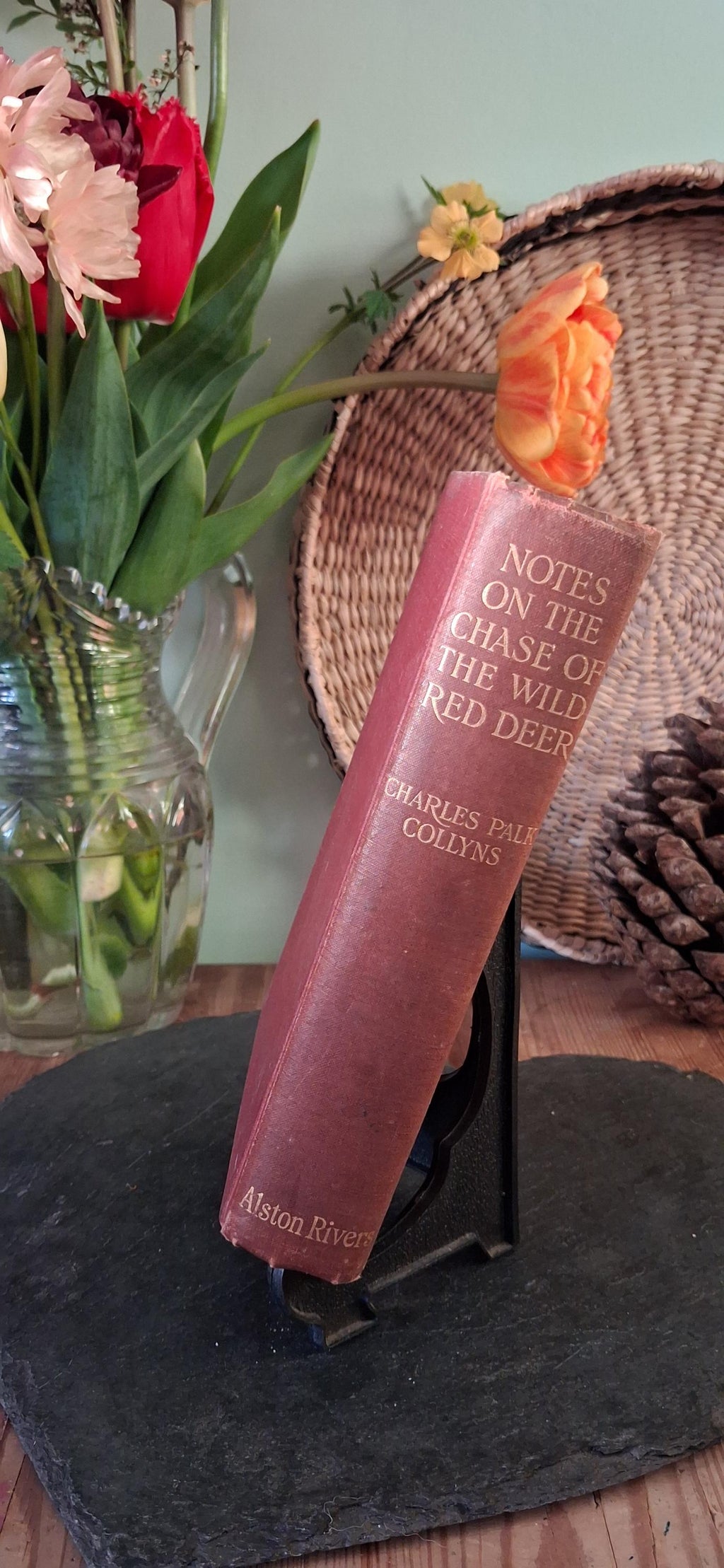 Notes on the Chase of the Wild Red Deer by Charles Palk Collyns- published 1907