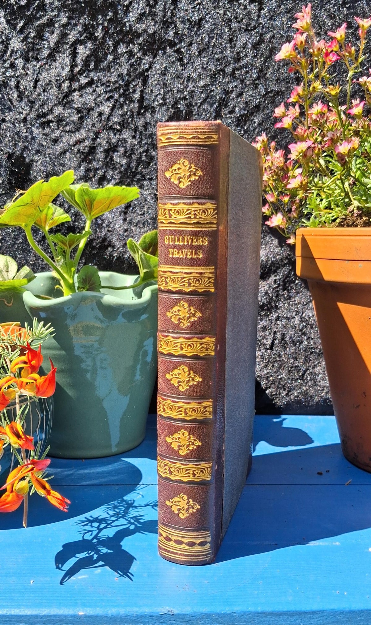 Gulliver's Travels 1864 Edition: Jonathan Swift Classic Literature (Over 300 Illustrations)