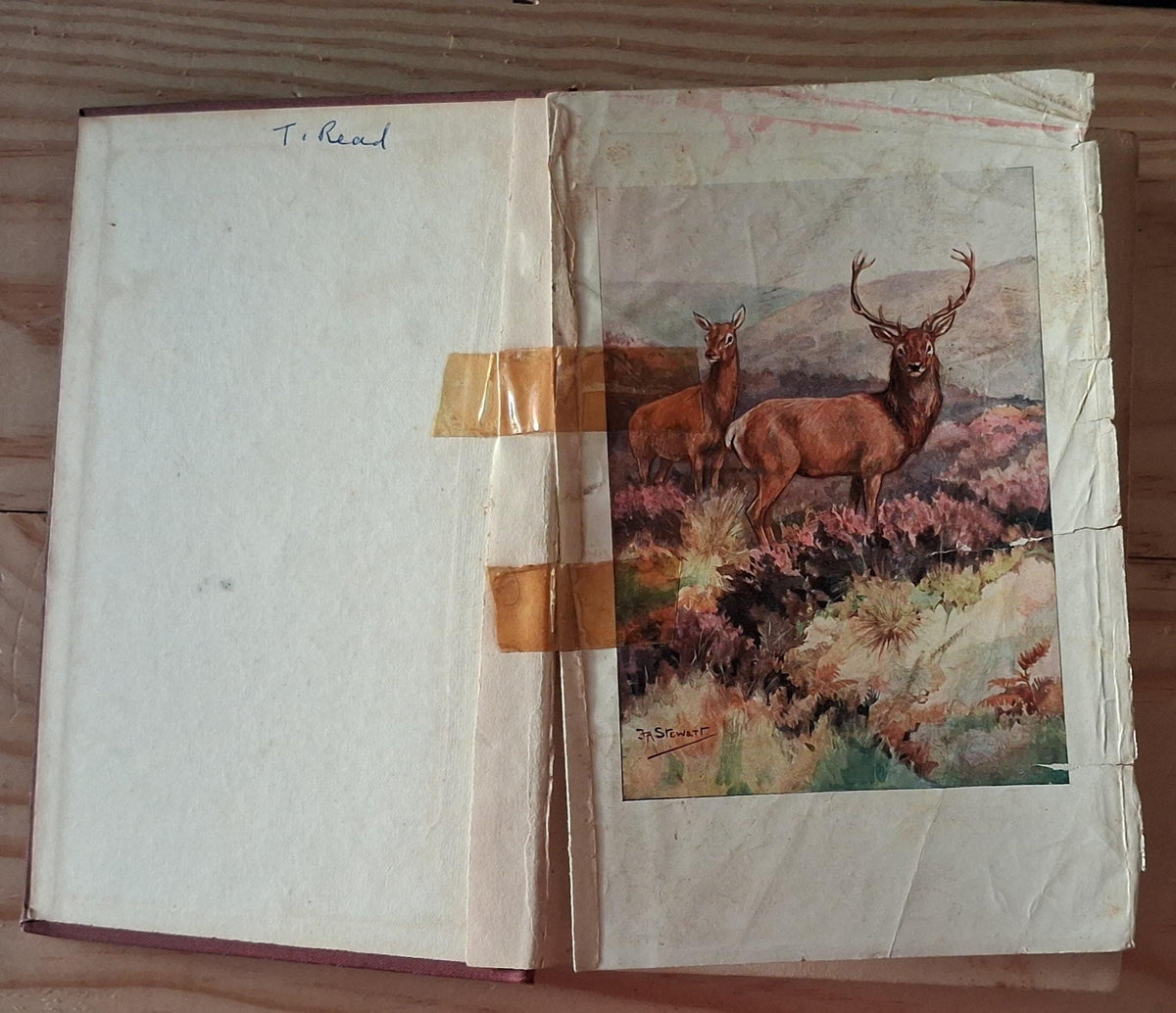 Notes on the Chase of the Wild Red Deer by Charles Palk Collyns- published 1907