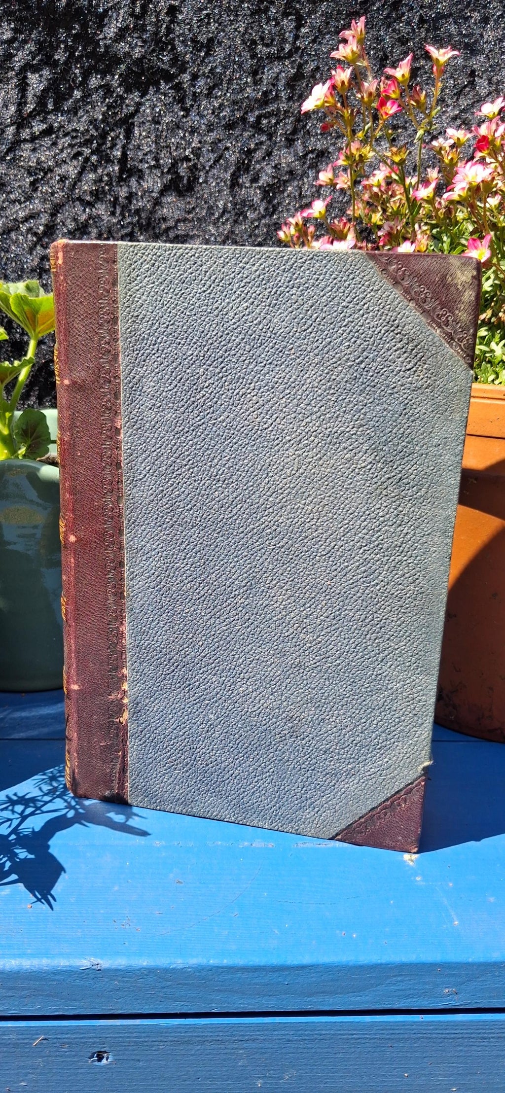 Gulliver's Travels 1864 Edition: Jonathan Swift Classic Literature (Over 300 Illustrations)